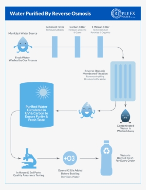 Smk Kesehatan Tpa Jember