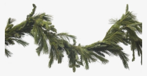 Transparent Garland Png Picture Library Stock - Evergreen Garland Png