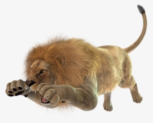 Images Of Angry Lion Png - Lion Jumping Png