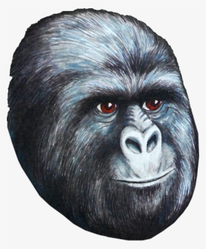 445kib, 423x510, Jimms - Star Wars Rustled My Jimmies Mug