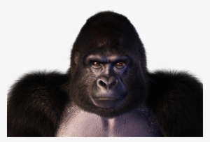 Apex Gorilla Character - Monkey