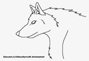 How To Draw A Wolf Head Side View - Drawing - 600x450 PNG Download - PNGkit