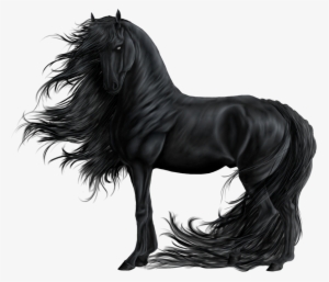 Emporer By Wild Catt - Horse Devil