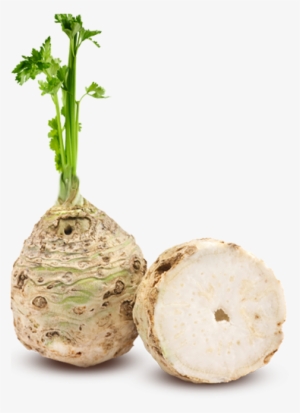 Celery Transparent One Piece Jpg Royalty Free - Gemüse Braun