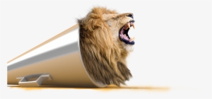 Speak Loudly Speak Visually Receive Practical Tips - Design