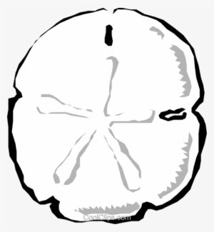 Sand Dollars Royalty Free Vector Clip Art Illustration - Clip Art