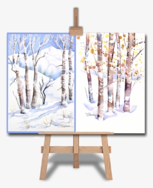 Watercolour Workshop - Canoe Birch