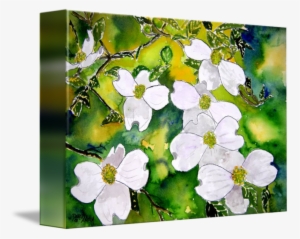 Dogwood Tree Flowers Painting By Derek Mccrea