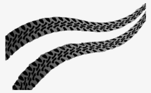 Tracks - Long Nosed Snake