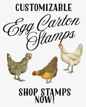 Add To Cart - Den Röda Adressboken - Av Sofia Lundberg