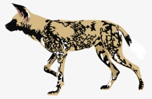 African Wild Dog Mzt2-d55lh3o - African Wild Dog Clipart
