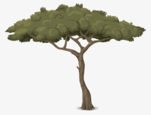 Tree Trunk Nature Leaves Branches Graphic - Baum Grafik