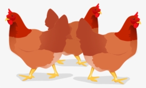 Three French Hens By - Digital Art