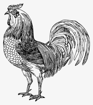 This Free Icons Png Design Of Hen 2