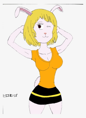 Author Comments - One Piece