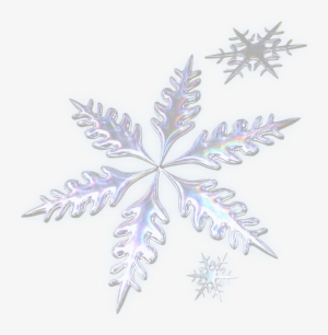 Three Decorative Snowflakes - Real Snowflake Transparent Background