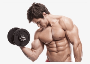 Muscle Guy Transparent Png Png Transparent - Six Pack And Biceps