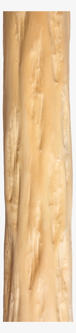 Tree Trunk Png Over The Bark Of The Treetree Trunk - Plywood