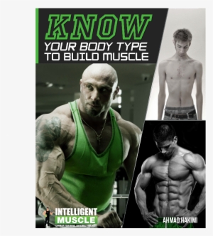 Know Your Bodytype To Build Muscle - Università Degli Studi Niccolò Cusano