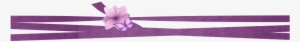 Dividers » Abstract » Ribbon Divider - Purple Ribbon Png Transparent