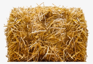 Miscellaneous - Bales - Hay Bale Png