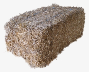Bale - Straw