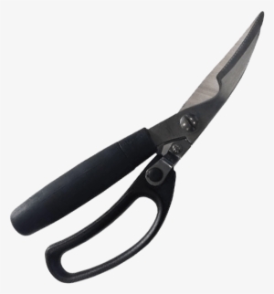 Meat Cutting Shears - Barbecue
