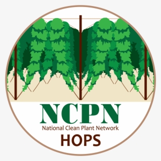 Ncpn-hops Png - Hops