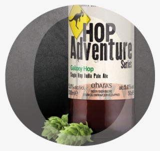 Amount Of Cara And Vienna Malts Leave All Of The Work - Ohara's Hop Adventure Aramis