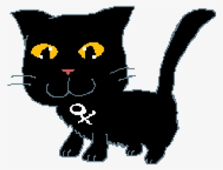 Random Image From User - Black Cat