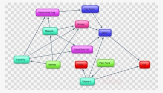 Tropical Rainforest Food Web Clipart Amazon Rainforest