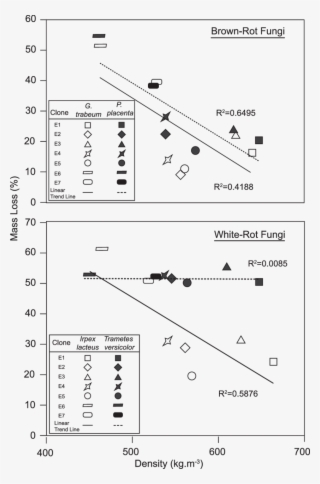 Correlation Between Density And Mass Loss For The Eucalyptus