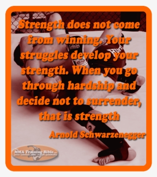 Quotes-schwarzenegger - Mixed Martial Arts