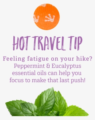 Purple Frog Products On Twitter - Shaved My Legs