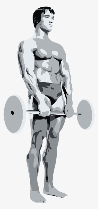 Schwarzenegger ,people - Bulk Up: Simple & Practical Ways To Effective Weight