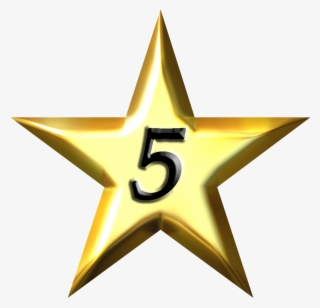 Best Summer Fun We Have Had - Star Tulip Aviation