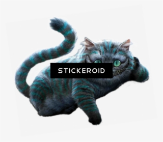Cheshire Cat Alice Cartoons In Wonderland - Tim Burton Alice In Wonderland Png