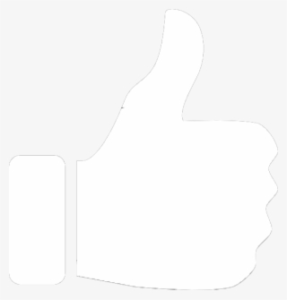 1 Year Warranty - Line Art