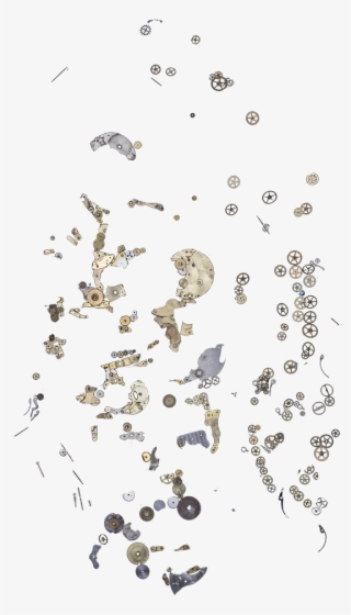 In Their New Life, The Wind Was High, The Water Heavy - Loggerhead Sea Turtle