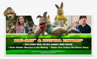 Peter Rabbit Movie Supports Responsible Pet Adoption - Mopsy Peter Rabbit Movie