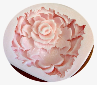 Large Peony - Common Peony