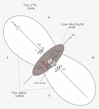 Schematic Cartoon Of The Main Components In The Molecular - Drawing