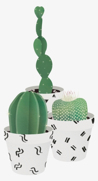 Pin By Huang - Succulent Plant