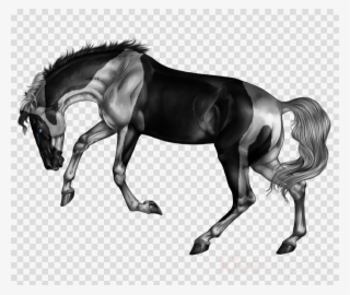 Bridle Clipart Mane Bridle Mustang - Stallion