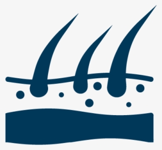 Infection And Inflammation 3d Tissue Models - Dermatology