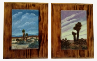 E Proctor, Desert Yucca Thompsoniana In Barren Texas - Picture Frame