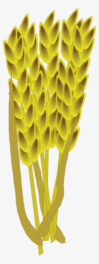 Clip Free Library Barley Vector Paddy Grain - Rice