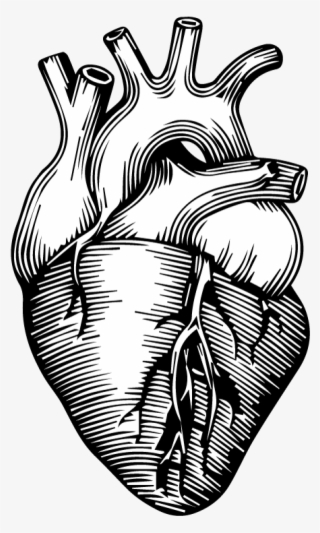 Citizen Heart Logo