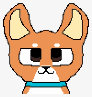 Shiba Inu