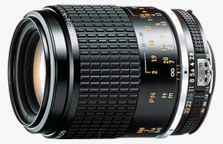 Micro Nikkor 105mm F 2 8 From Nikon Nikon D90 Macro